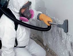 Best Mold Documentation for Insurance Claims in Harrison, WI